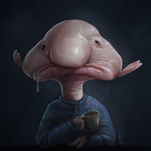 blobfish_illust01.jpg