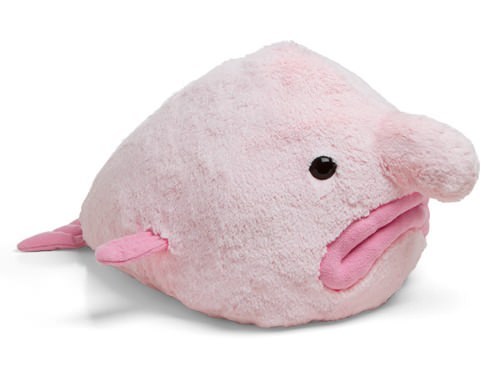 blobfish_plush.jpg